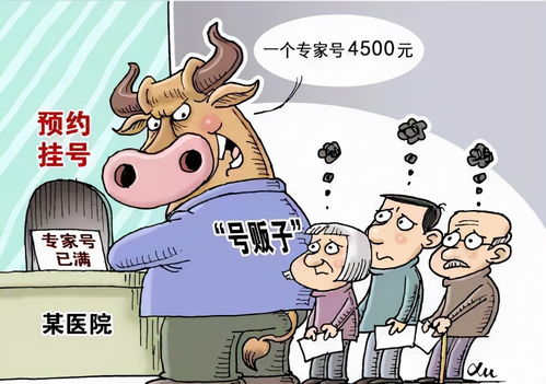 票務(wù)亂象調(diào)查 票圈利益交割，處理黃牛也不能完全“清朗”票務(wù)服務(wù)